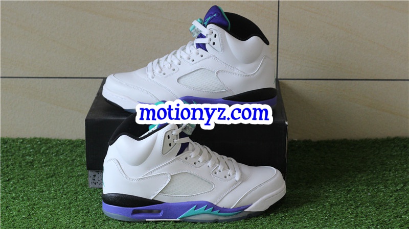 Authentic Air Jordan 5 Retro Grapes